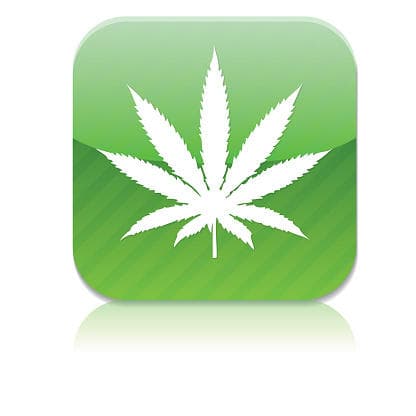 Google Has Banned Weed Delivery Apps From Its Play Store Google Has Banned Weed Delivery Apps From Its Play Store