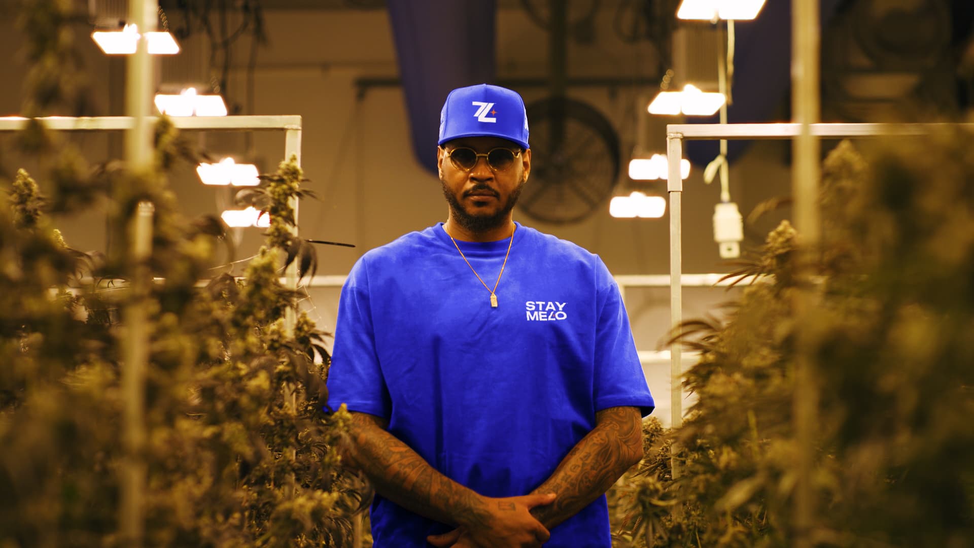 Carmelo Anthony Launches Cannabis Company That Will Donate A Portion Of Its Profits To Criminal Justice Reform Carmelo Anthony Launches Cannabis Company That Will Donate A Portion Of Its Profits To Criminal Justice Reform