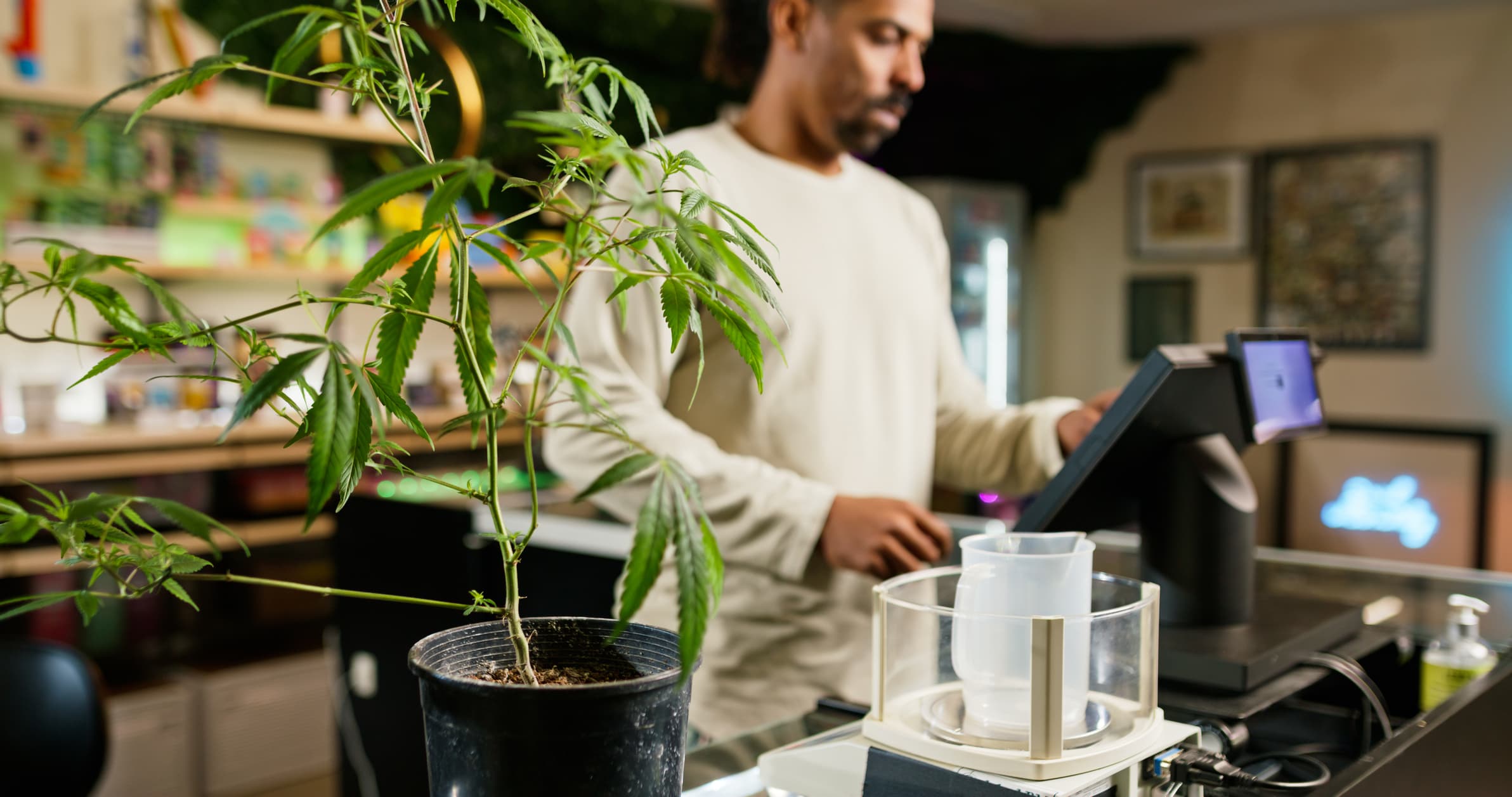 The Library, A Black-Owned Cannabis Dispensary In New Jersey, Opens With A Focus On Community And Education The Library, A Black-Owned Cannabis Dispensary In New Jersey, Opens With A Focus On Community And Education