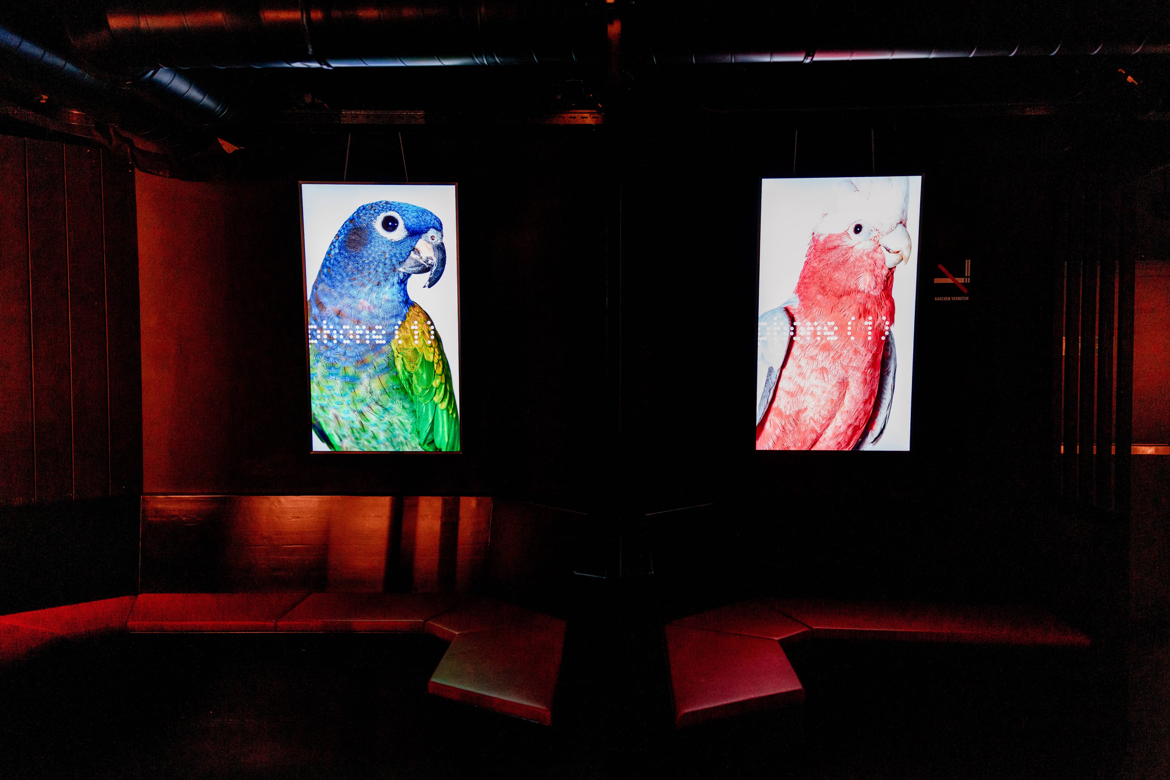 NFTs Are Taking Over Miami Art Week & Art Basel — Here Are Some Exhibits To Look Out For NFTs Are Taking Over Miami Art Week & Art Basel — Here Are Some Exhibits To Look Out For